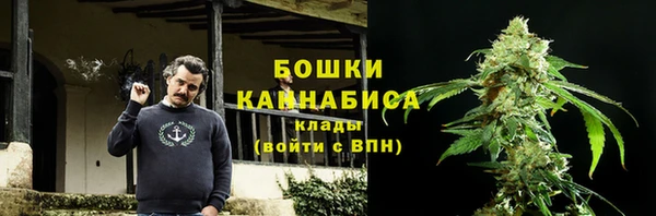 PSILOCYBIN Покров
