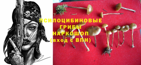 спиды Армянск