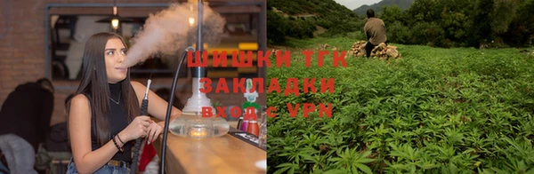 спиды Армянск
